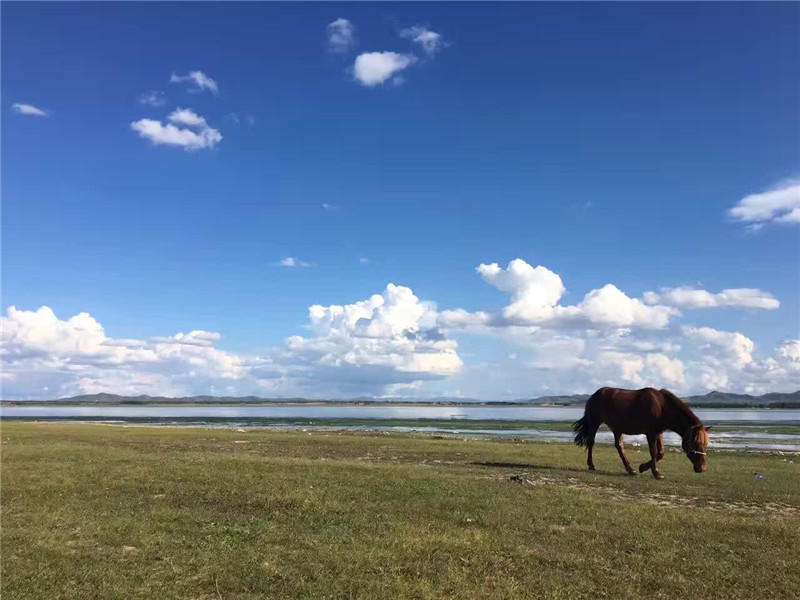 天鹅湖风景区